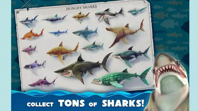 Collect Tons of Sharks